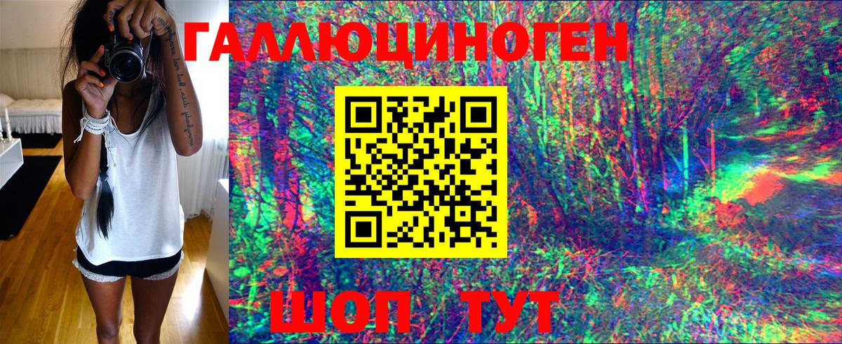 Псилоцибиновые грибы GOLDEN TEACHER  Вход с VPN  Кизилюрт 