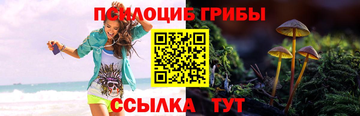 Псилоцибиновые грибы Psilocybine cubensis Кизилюрт